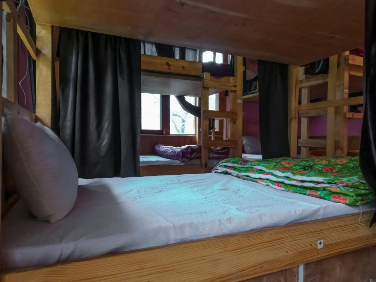 Indian Backpackers Hostel 마날리 외부 사진