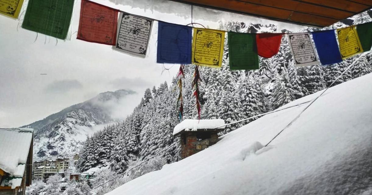Indian Backpackers Hostel 마날리 외부 사진